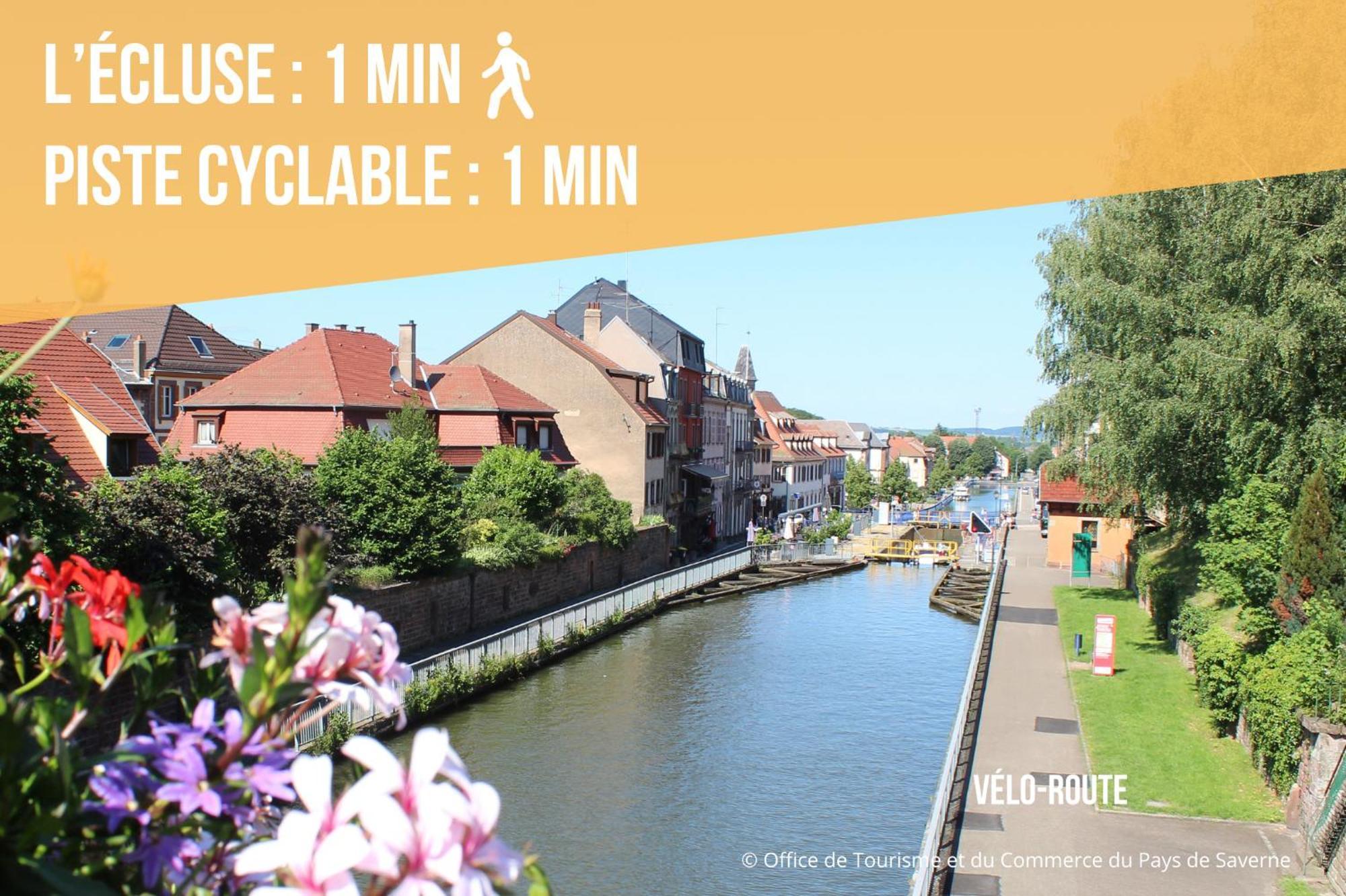 Les Rives Du Chateau, 90M2, Vue Sur Le Canal サヴェルヌ エクステリア 写真
